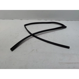 2018-2024 TOYOTA CAMRY REAR LEFT DRIVER DOOR WINDOW GLASS RUN CHANNEL SEAL OEM