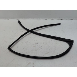 2018-2024 TOYOTA CAMRY REAR LEFT DRIVER DOOR WINDOW GLASS RUN CHANNEL SEAL OEM