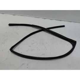 2018-2024 TOYOTA CAMRY REAR LEFT DRIVER DOOR WINDOW GLASS RUN CHANNEL SEAL OEM