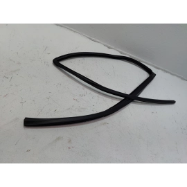 2018-2024 TOYOTA CAMRY REAR LEFT DRIVER DOOR WINDOW GLASS RUN CHANNEL SEAL OEM
