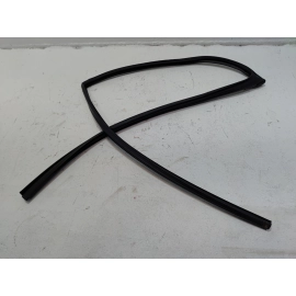 2018-2024 TOYOTA CAMRY REAR LEFT DRIVER DOOR WINDOW GLASS RUN CHANNEL SEAL OEM