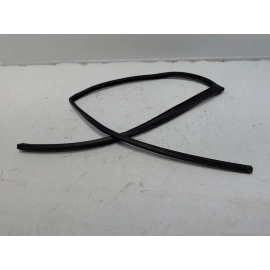 2018-2024 TOYOTA CAMRY REAR LEFT DRIVER DOOR WINDOW GLASS RUN CHANNEL SEAL OEM