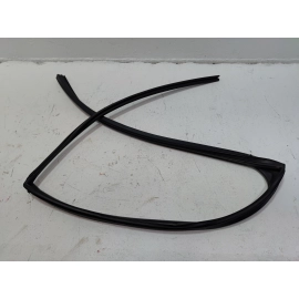 2018-2024 TOYOTA CAMRY REAR LEFT DRIVER DOOR WINDOW GLASS RUN CHANNEL SEAL OEM