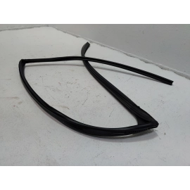 2018-2024 TOYOTA CAMRY REAR LEFT DRIVER DOOR WINDOW GLASS RUN CHANNEL SEAL OEM