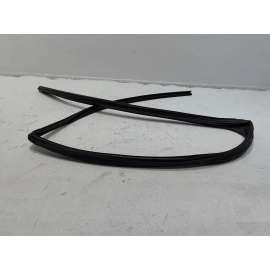 2018-2024 TOYOTA CAMRY REAR LEFT DRIVER DOOR WINDOW GLASS RUN CHANNEL SEAL OEM