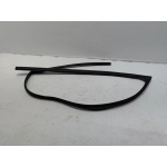 2018-2025 TOYOTA CAMRY FRONT DRIVER SIDE DOOR WINDOW GLASS RUN CHANNEL STRIP OEM