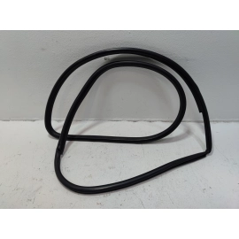 2018-2024 TOYOTA CAMRY FRONT LEFT DRIVER SIDE DOOR BODY WEATHERSTRIP SEAL OEM