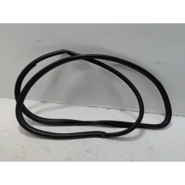 2018-2024 TOYOTA CAMRY FRONT LEFT DRIVER SIDE DOOR BODY WEATHERSTRIP SEAL OEM