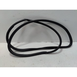 2018-2024 TOYOTA CAMRY FRONT LEFT DRIVER SIDE DOOR BODY WEATHERSTRIP SEAL OEM