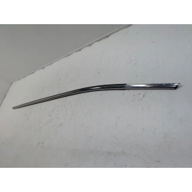 2018-2025 TOYOTA CAMRY FRONT LEFT DRIVER SIDE DOOR WINDOW BELT MOLDING OEM