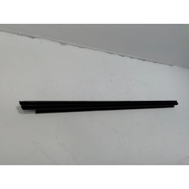 2018-19 Toyota Camry Front Passenger Side Door Window Belt Weatherstrip Seal OEM