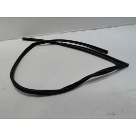 2018-25 Toyota Camry Front Passenger Side Door Window Glass Run Channel Seal OEM