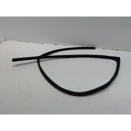 2018-25 Toyota Camry Front Passenger Side Door Window Glass Run Channel Seal OEM