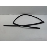 2018-25 Toyota Camry Front Passenger Side Door Window Glass Run Channel Seal OEM