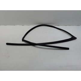 2018-25 Toyota Camry Front Passenger Side Door Window Glass Run Channel Seal OEM