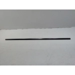 2018-2025 VOLKSWAGEN ATLAS REAR LEFT DRIVER SIDE DOOR WINDOW BELT MOLDING OEM