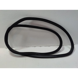 2018-2025 VOLKSWAGEN ATLAS REAR LEFT SIDE DOOR BODY WEATHERSTRIP INNER SEAL OEM