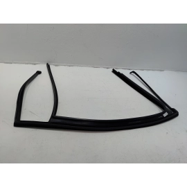 2018-2025 VOLKSWAGEN ATLAS REAR PASSENGER DOOR WINDOW GLASS RUN CHANNEL SEAL OEM