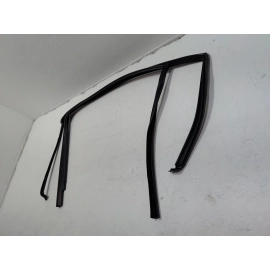 2018-2025 VOLKSWAGEN ATLAS REAR PASSENGER DOOR WINDOW GLASS RUN CHANNEL SEAL OEM