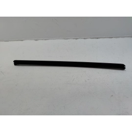 18-25 VOLKSWAGEN ATLAS FRONT PASSENGER DOOR WINDOW INNER WEATHERSTRIP SEAL OEM