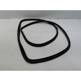 2019-2024 TOYOTA RAV4 REAR LEFT DRIVER SIDE DOOR BODY WEATHERSTRIP SEAL OEM