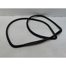 2019-2024 TOYOTA RAV4 REAR LEFT DRIVER SIDE DOOR BODY WEATHERSTRIP SEAL OEM