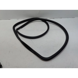 2019-2024 TOYOTA RAV4 REAR LEFT DRIVER SIDE DOOR BODY WEATHERSTRIP SEAL OEM