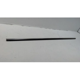 2018-2025 VOLKSWAGEN ATLAS REAR LEFT DRIVER SIDE DOOR WINDOW BELT MOLDING OEM