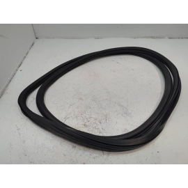 2018-2025 Volkswagen Atlas 	Front Passenger Door Body weatherstrip Seal OEM