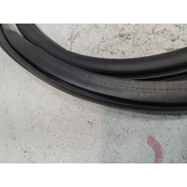 2018-2025 Volkswagen Atlas 	Front Passenger Door Body weatherstrip Seal OEM