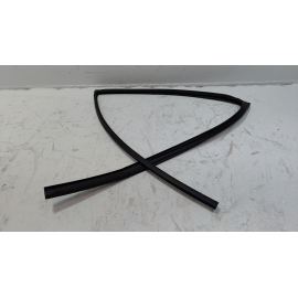 2019-2020 TOYOTA RAV4 REAR DRIVER SIDE DOOR WINDOW GLASS RUN CHANNEL SEAL OEM