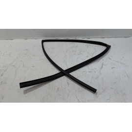 2019-2020 TOYOTA RAV4 REAR DRIVER SIDE DOOR WINDOW GLASS RUN CHANNEL SEAL OEM