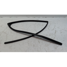 2019-2020 TOYOTA RAV4 REAR DRIVER SIDE DOOR WINDOW GLASS RUN CHANNEL SEAL OEM