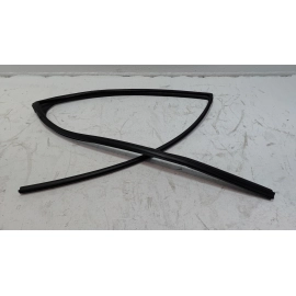 2019-2020 TOYOTA RAV4 REAR DRIVER SIDE DOOR WINDOW GLASS RUN CHANNEL SEAL OEM