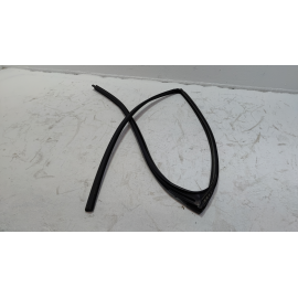 2019-2020 TOYOTA RAV4 REAR DRIVER SIDE DOOR WINDOW GLASS RUN CHANNEL SEAL OEM