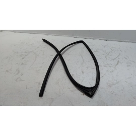 2019-2020 TOYOTA RAV4 REAR DRIVER SIDE DOOR WINDOW GLASS RUN CHANNEL SEAL OEM