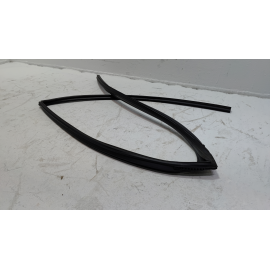 2019-2020 TOYOTA RAV4 REAR DRIVER SIDE DOOR WINDOW GLASS RUN CHANNEL SEAL OEM