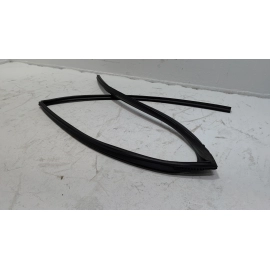 2019-2020 TOYOTA RAV4 REAR DRIVER SIDE DOOR WINDOW GLASS RUN CHANNEL SEAL OEM