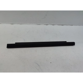 2019-2024 TOYOTA RAV4 REAR LEFT DOOR WINDOW INNER BELT WEATHERSTRIP SEAL OEM
