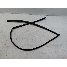 2019-2022 Honda Insight Front Left Driver Door Window Glass Run Channel Seal OEM