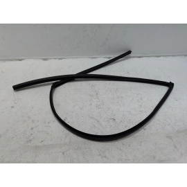 2019-2022 Honda Insight Front Left Driver Door Window Glass Run Channel Seal OEM