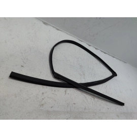 2019-2022 Honda Insight Front Left Driver Door Window Glass Run Channel Seal OEM