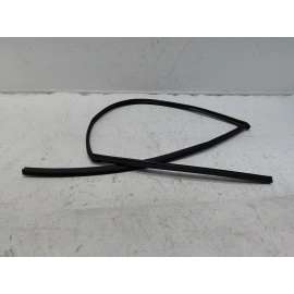 2019-2022 Honda Insight Front Left Driver Door Window Glass Run Channel Seal OEM