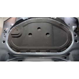 2021-2025 Volkswagen Atlas Front Hood Panel Gray OEM