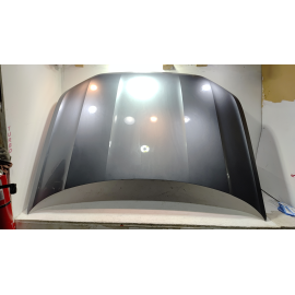 2021-2025 Volkswagen Atlas Front Hood Panel Gray OEM