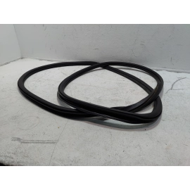 2018-2025 Volkswagen Atlas Rear Left Driver Door Body Weatherstrip Seal OEM