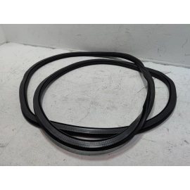 2018-2025 Volkswagen Atlas Rear Left Driver Door Body Weatherstrip Seal OEM