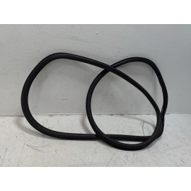 2018-2025 Volkswagen Atlas Rear Left Driver Door Body Weatherstrip Seal OEM