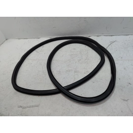 2018-2025 Volkswagen Atlas Rear Left Driver Door Body Weatherstrip Seal OEM