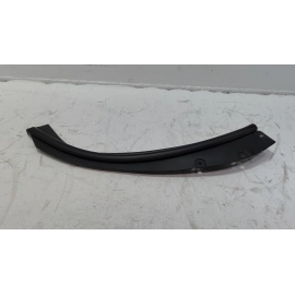 TOYOTA RAV4 REAR RIGHT PASSENGER SIDE DOOR PROTECTOR OEM 2019-2025